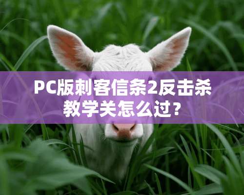 PC版刺客信条2反击杀教学关怎么过？