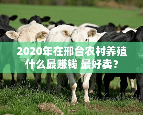 2020年在邢台农村养殖什么最赚钱 最好卖？