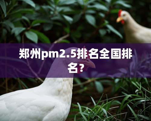 郑州pm2.5排名全国排名？