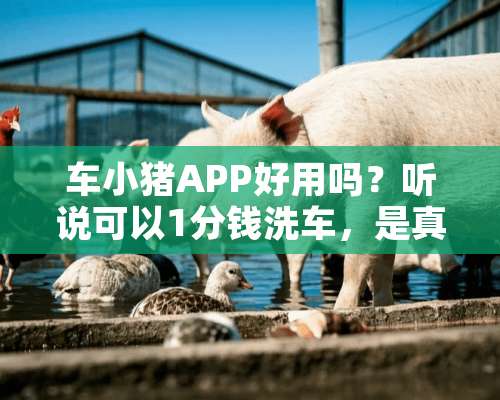 车小猪APP好用吗？听说可以1分钱洗车，是真的吗？