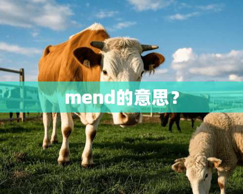 mend的意思？