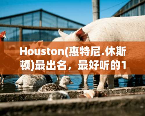 Houston(惠特尼.休斯顿)最出名，最好听的10首歌！是哪些啊？