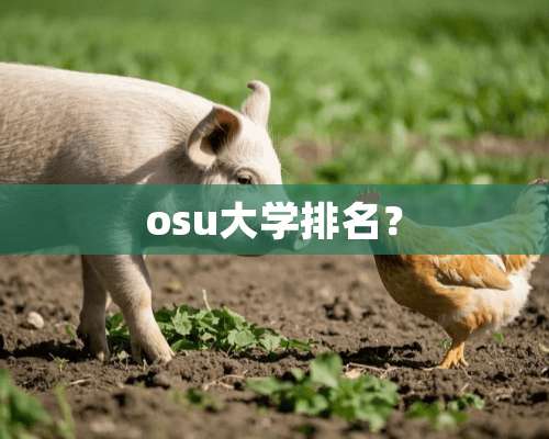 osu大学排名？