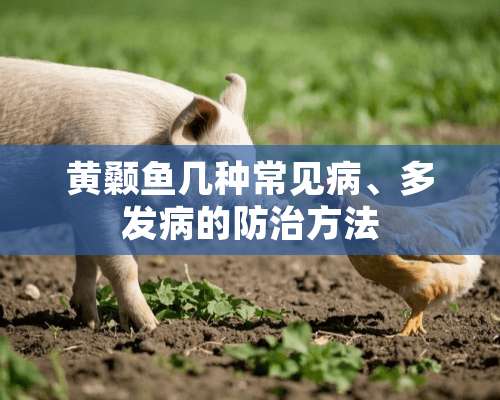 黄颡鱼几种常见病、多发病的防治方法