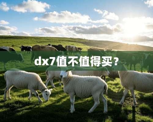 dx7值不值得买？