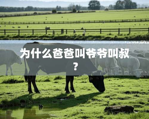 为什么爸爸叫爷爷叫叔？