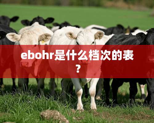 ebohr是什么档次的表？