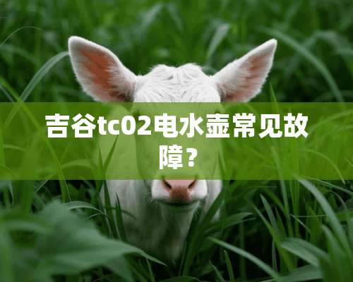 吉谷tc02电水壶常见故障？