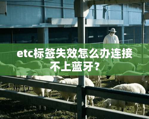 etc标签失效怎么办连接不上蓝牙？