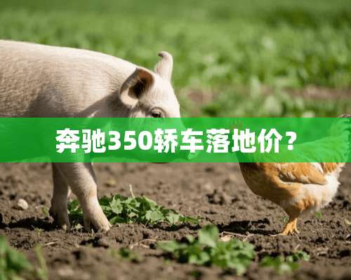 奔驰350轿车落地价？