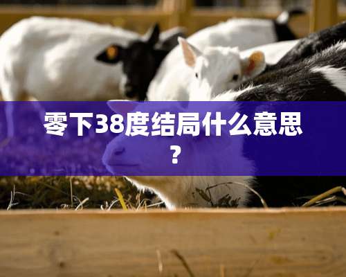 零下38度结局什么意思？