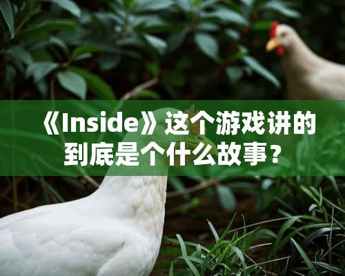 《Inside》这个游戏讲的到底是个什么故事？