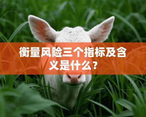 衡量风险三个指标及含义是什么？