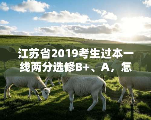 江苏省2019考生过本一线两分选修B+、A，怎么报志愿好呢