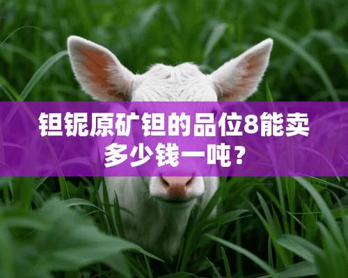 钽铌原矿钽的品位8能卖多少钱一吨？