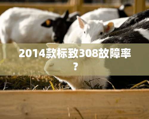 2014款标致308故障率？