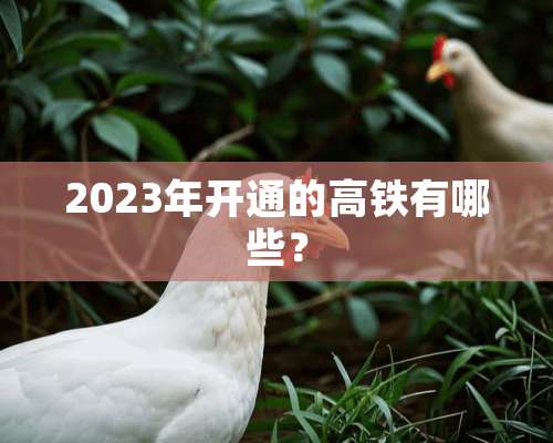 2023年开通的高铁有哪些？