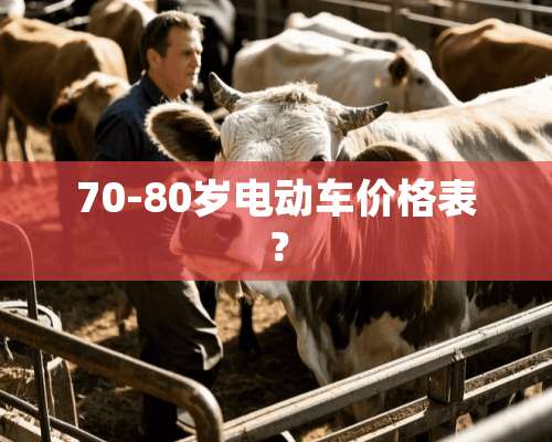 70-80岁电动车价格表？