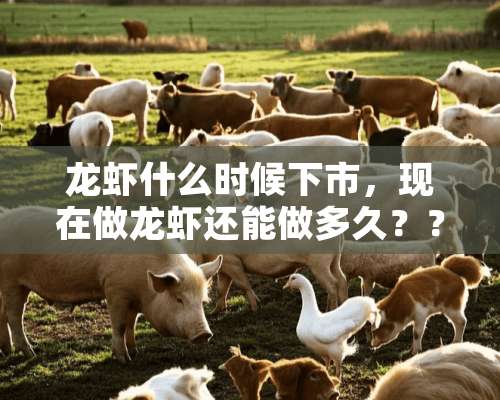 龙虾什么时候下市，现在做龙虾还能做多久？？？