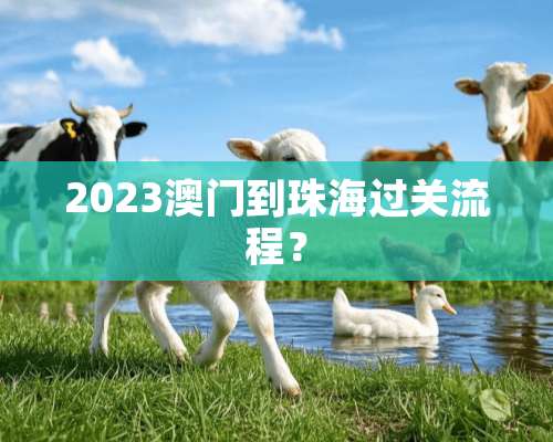 2023**到珠海过关流程？