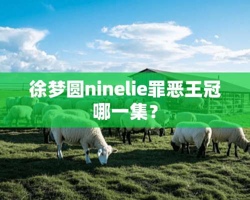 徐梦圆ninelie罪恶王冠哪一集？