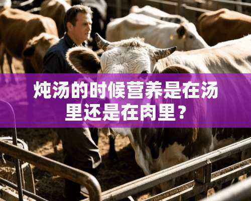 炖汤的时候营养是在汤里还是在肉里？