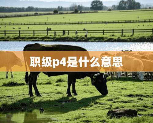 职级p4是什么意思