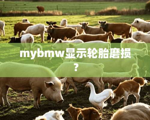 mybmw显示轮胎磨损？