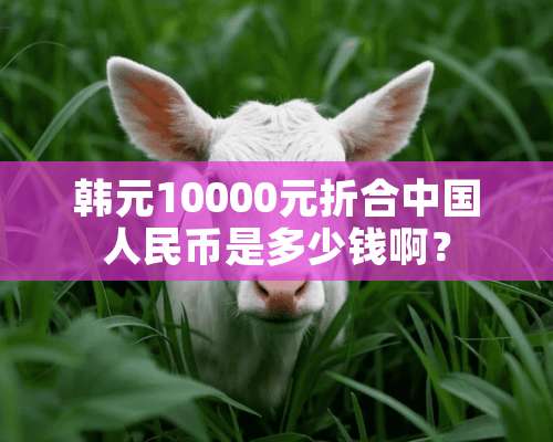 韩元10000元折合中国人民币是多少钱啊？