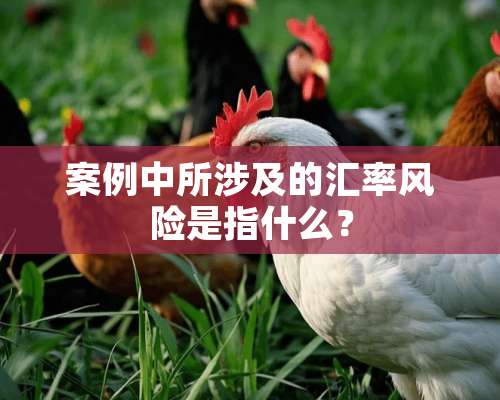 案例中所涉及的汇率风险是指什么？