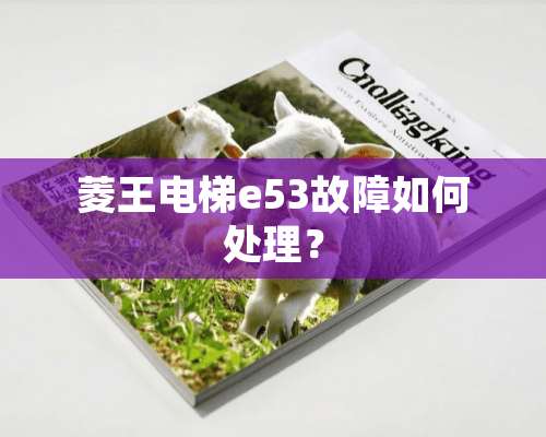 菱王电梯e53故障如何处理？