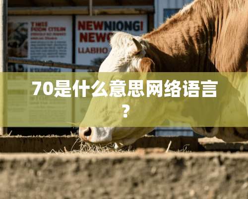 70是什么意思网络语言？