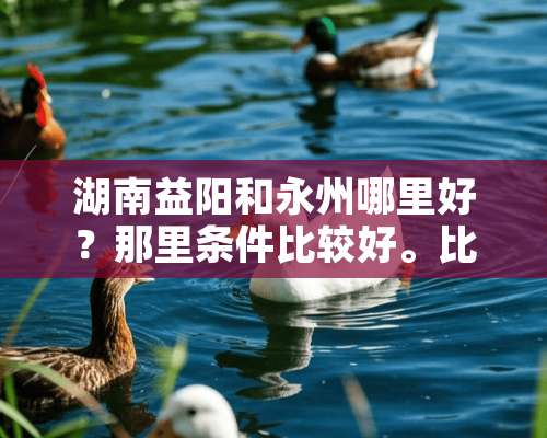 湖南益阳和永州哪里好？那里条件比较好。比如生活水平，城市条件？