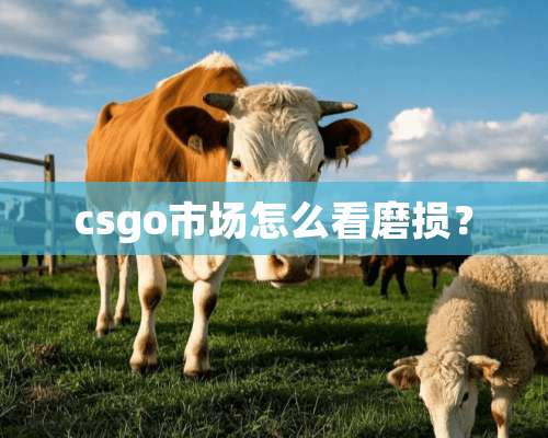 csgo市场怎么看磨损？