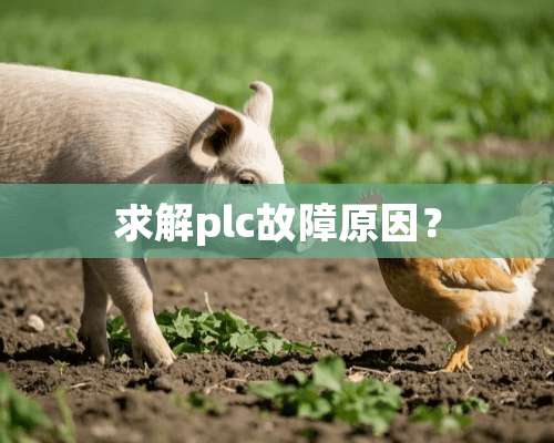 求解plc故障原因？