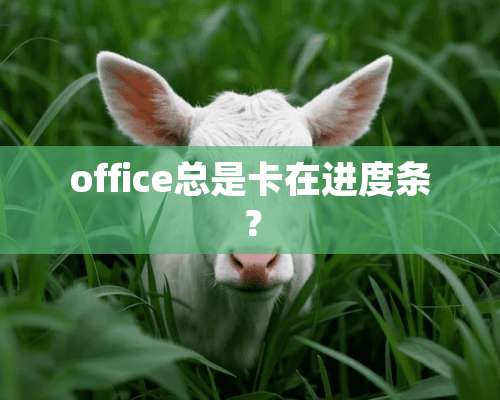 office总是卡在进度条？