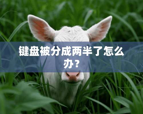 键盘被分成两半了怎么办？