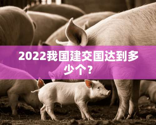 2022我国建交国达到多少个？