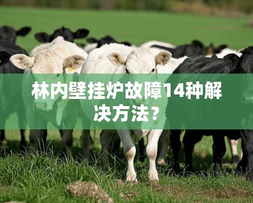 林内壁挂炉故障14种解决方法？