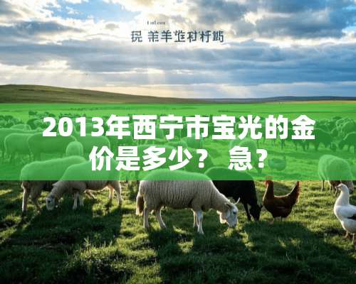 2013年西宁市宝光的金价是多少？ 急？