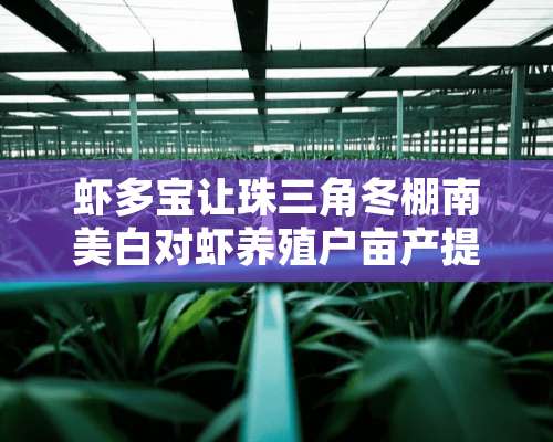 虾多宝让珠三角冬棚南美白对虾养殖户亩产提高两百斤