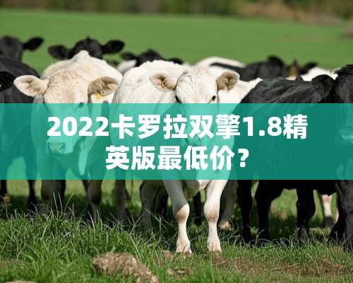 2022卡罗拉双擎1.8精英版最低价？