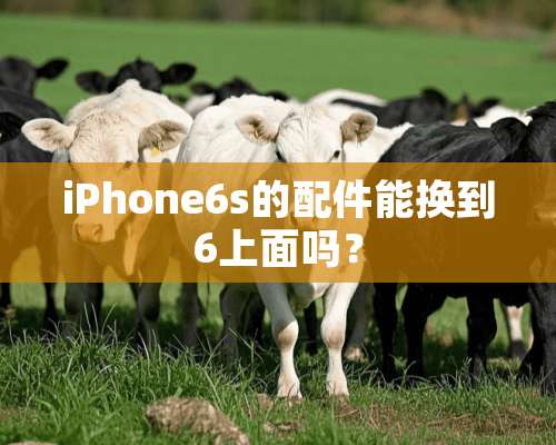 iPhone6s的配件能换到6上面吗？