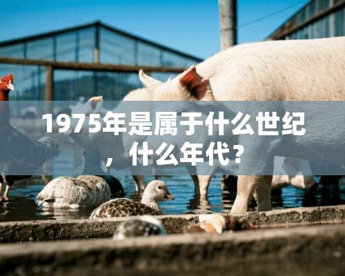 1975年是属于什么世纪，什么年代？