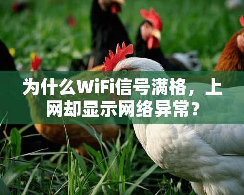 为什么WiFi信号满格，上网却显示网络异常？