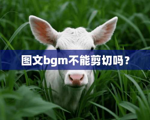 图文bgm不能剪切吗？