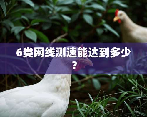 6类网线测速能达到多少？