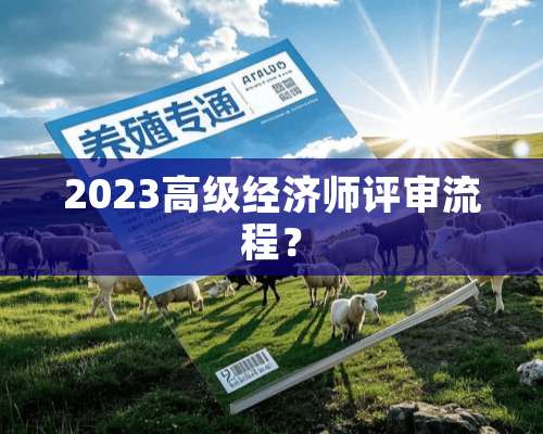 2023高级经济师评审流程？