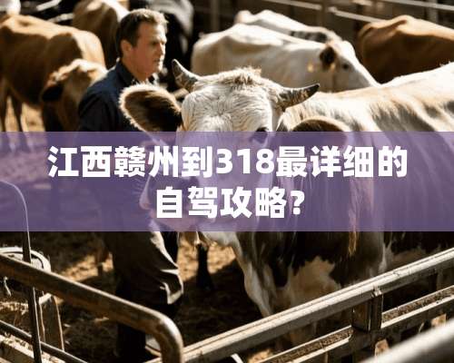 江西赣州到318最详细的自驾攻略？