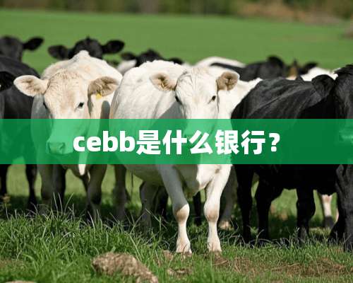 cebb是什么银行？